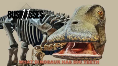 what dinosaur has 500 teeth