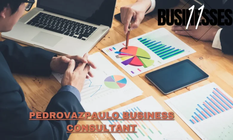 pedrovazpaulo business consultant